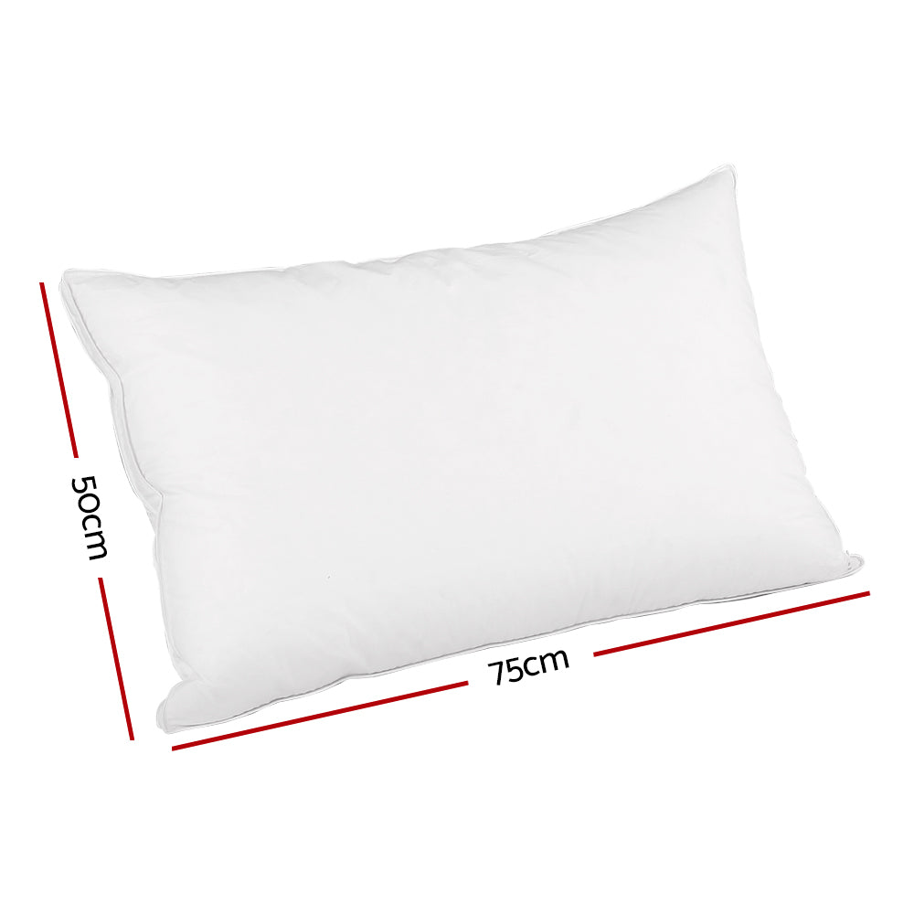 Feather Down Twin Pack Pillow