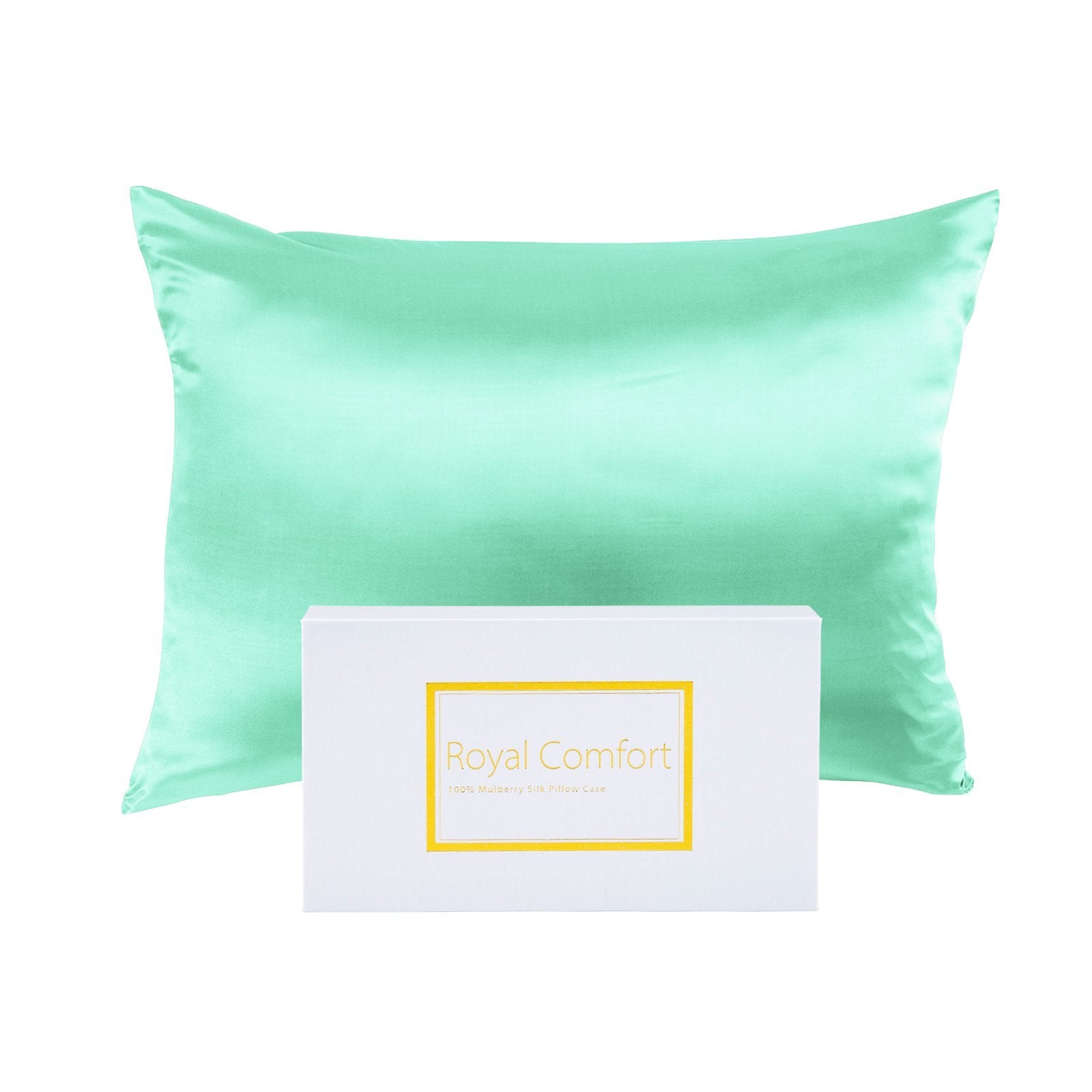 Royal Comfort Mulberry Soft Silk Hypoallergenic Pillowcase Twin Pack 51 x 76cm 51 x 76 cm Mint - Bedzy Australia